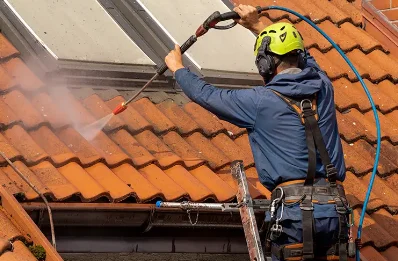 Démoussage et hydrofuge de toiture au Ferré